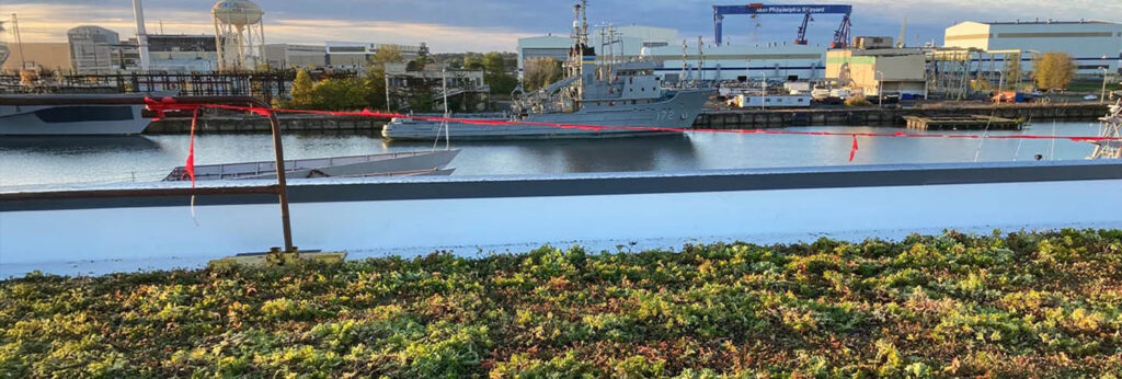 Image of green roof.
